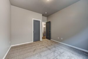 Empty residential room featuring gray carpeted flooring, light gray walls, and two closed doors painted in dark gray, leading to other rooms.