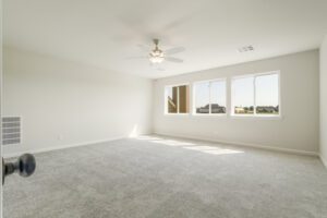 Bright, empty room with carpeted flooring, ceiling fan, and three windows allowing natural light.
